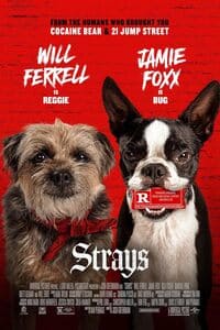 Strays